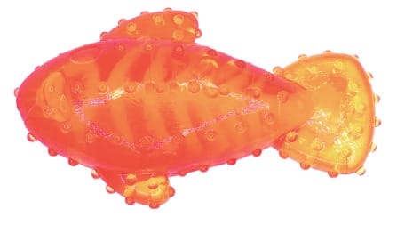 Juguetes Mordedores en Forma de Pez – Colores Vibrantes y Durabilidad para tu Mascota