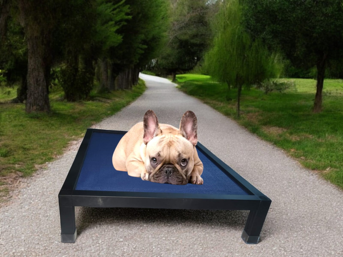 Cama Elevada para Mascotas – Una Inversión Duradera y Saludable