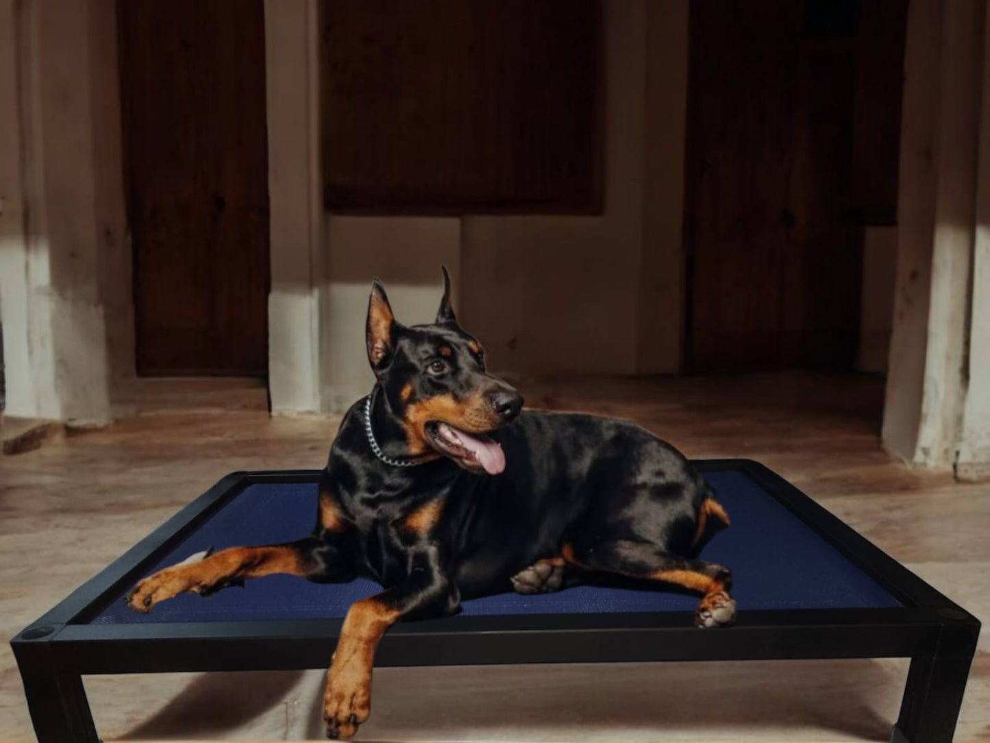 Cama Elevada para Mascotas – Una Inversión Duradera y Saludable