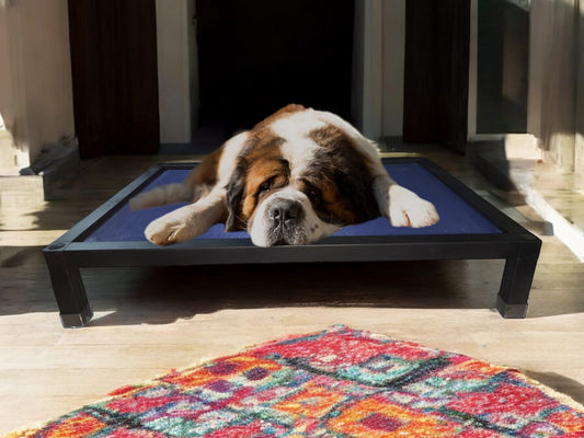 Cama Elevada para Mascotas – Una Inversión Duradera y Saludable