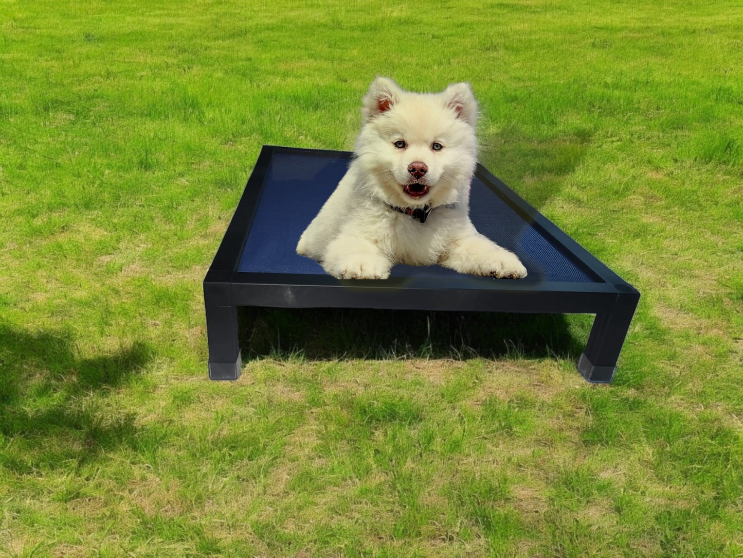 Cama Elevada para Mascotas – Una Inversión Duradera y Saludable