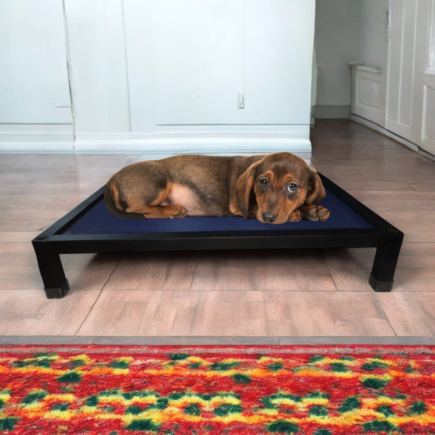 Cama Elevada para Mascotas – Una Inversión Duradera y Saludable