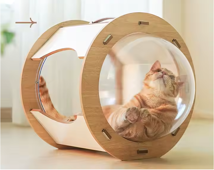 Cápsula Moderna para Gatos – Comodidad y Estilo en Uno