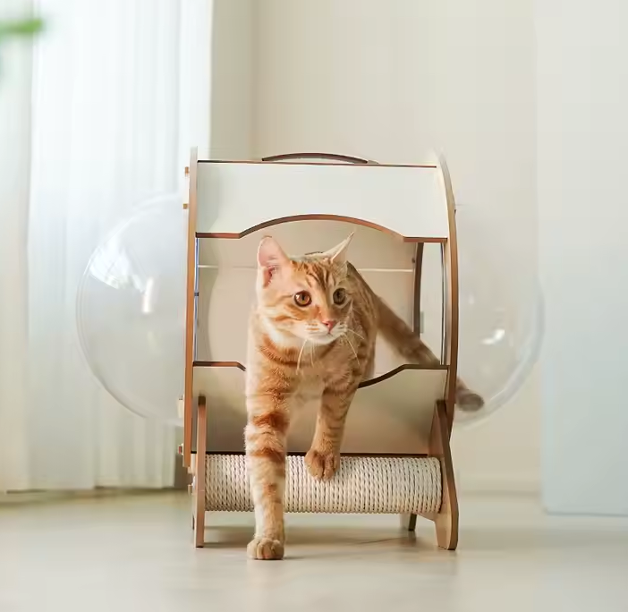 Cápsula Moderna para Gatos – Comodidad y Estilo en Uno