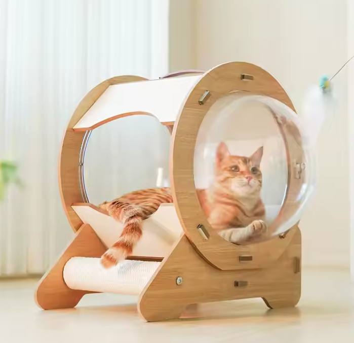 Cápsula Moderna para Gatos – Comodidad y Estilo en Uno