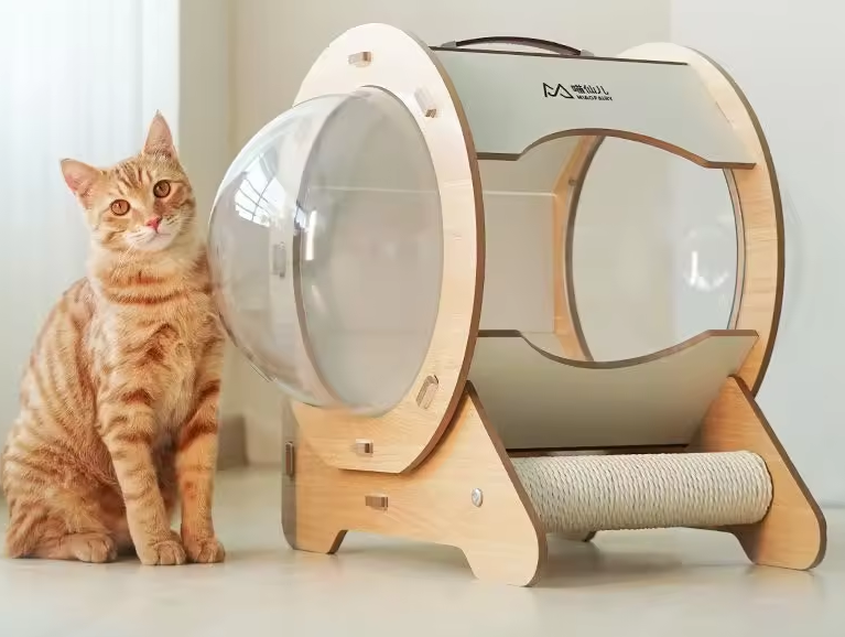 Cápsula Moderna para Gatos – Comodidad y Estilo en Uno